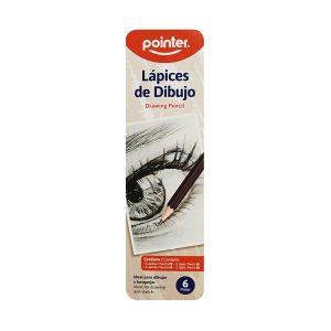 Juego de Lápices de Dibujo 6 Uds Pointer